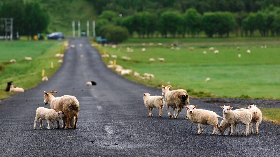 Icelandic Ring Road: The Road Trip Of A Lifetime