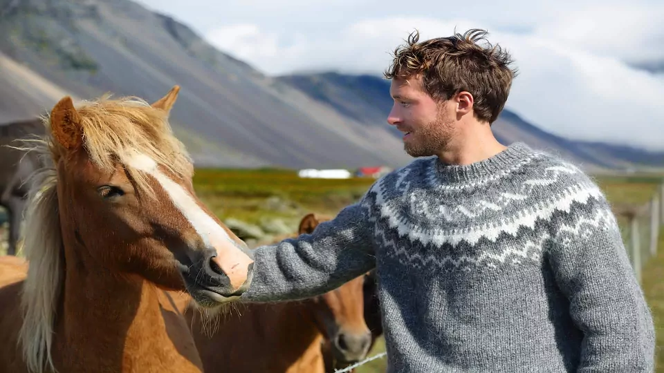 Do They Speak English in Iceland?