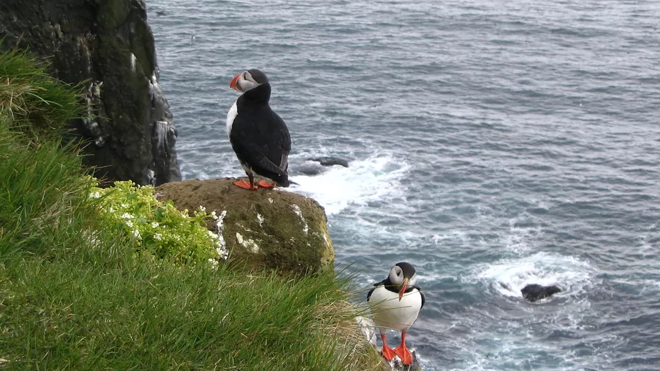 Latrabjarg