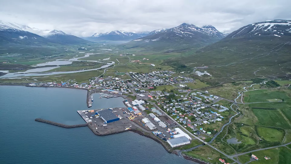 Dalvik